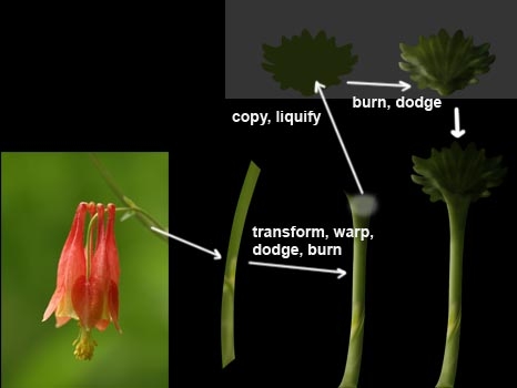 Creation of Strange Flower Field: Step 2